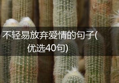 不轻易放弃爱情的句子(优选40句)