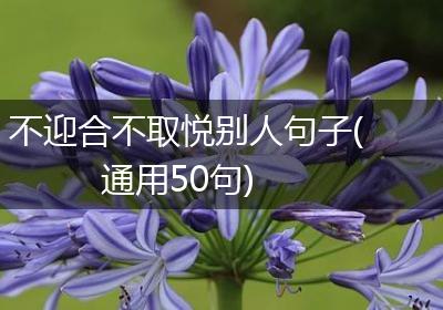 不迎合不取悦别人句子(通用50句)