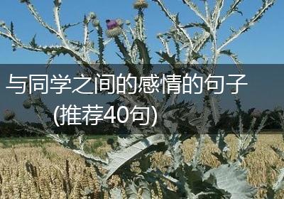 与同学之间的感情的句子(推荐40句)