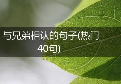 与兄弟相认的句子(热门40句)