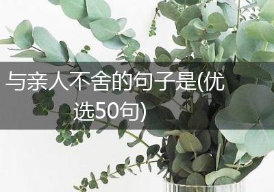 与亲人不舍的句子是(优选50句)