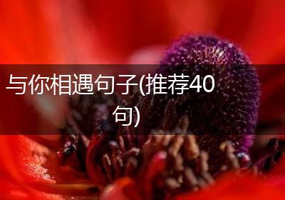 与你相遇句子(推荐40句)