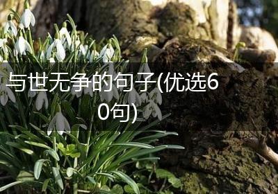 与世无争的句子(优选60句)
