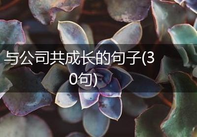 与公司共成长的句子(30句)
