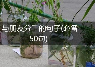 与朋友分手的句子(必备50句)