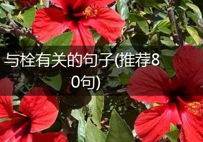 与栓有关的句子(推荐80句)