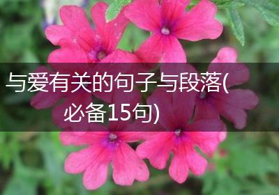 与爱有关的句子与段落(必备15句)