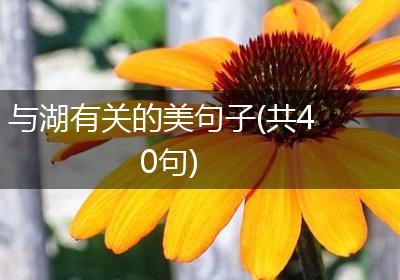与湖有关的美句子(共40句)