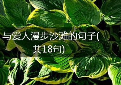 与爱人漫步沙滩的句子(共18句)