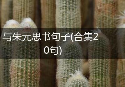 与朱元思书句子(合集20句)