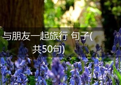 与朋友一起旅行 句子(共50句)