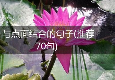 与点面结合的句子(推荐70句)