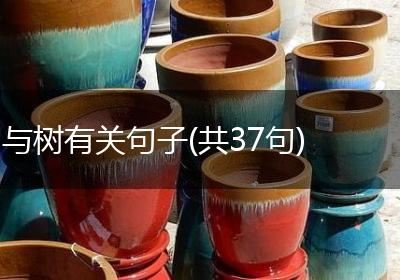 与树有关句子(共37句)