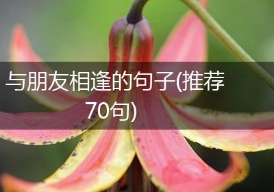 与朋友相逢的句子(推荐70句)