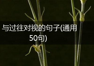 与过往对视的句子(通用50句)