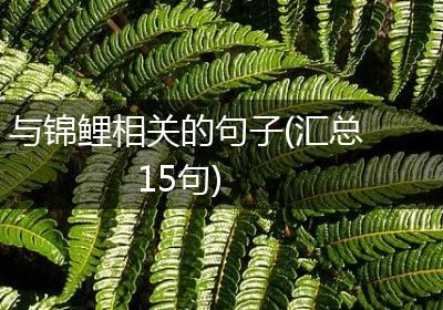 与锦鲤相关的句子(汇总15句)