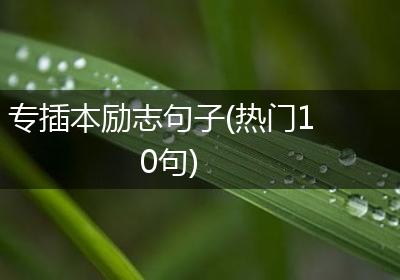 专插本励志句子(热门10句)