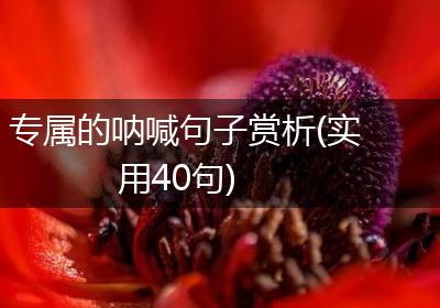 专属的呐喊句子赏析(实用40句)