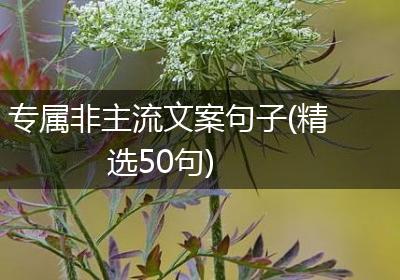 专属非主流文案句子(精选50句)