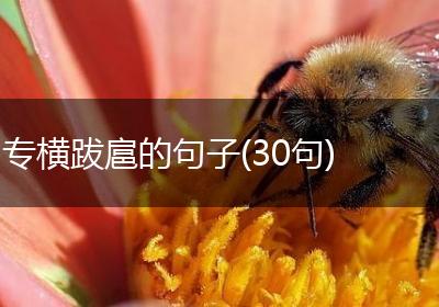 专横跋扈的句子(30句)