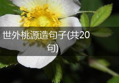 世外桃源造句子(共20句)