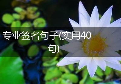 专业签名句子(实用40句)