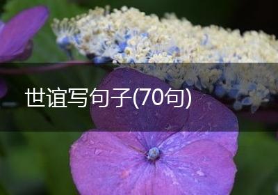 世谊写句子(70句)