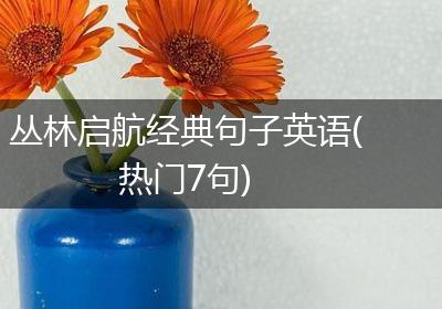 丛林启航经典句子英语(热门7句)