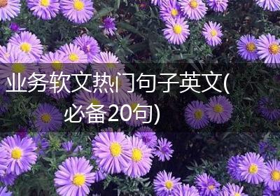 业务软文热门句子英文(必备20句)