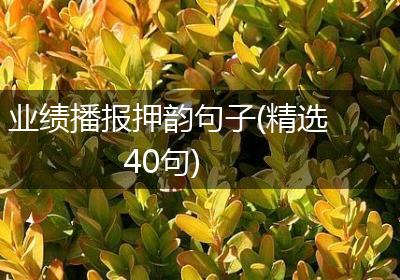 业绩播报押韵句子(精选40句)