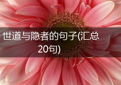 世道与隐者的句子(汇总20句)