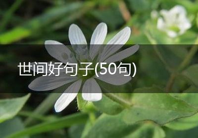 世间好句子(50句)