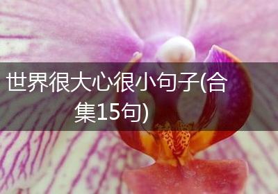 世界很大心很小句子(合集15句)