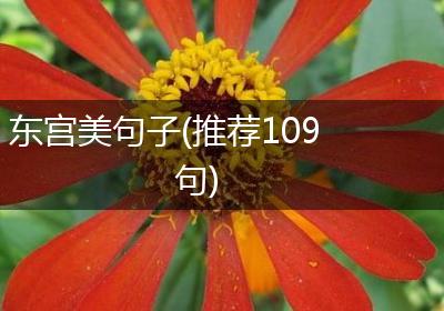 东宫美句子(推荐109句)