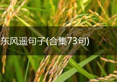 东风遥句子(合集73句)