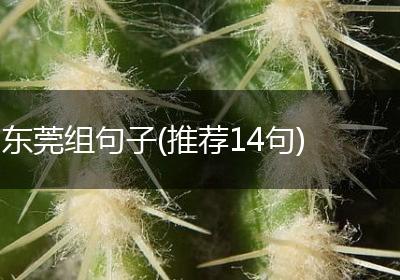 东莞组句子(推荐14句)