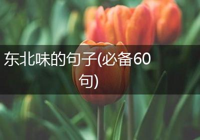 东北味的句子(必备60句)