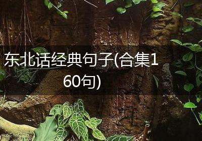 东北话经典句子(合集160句)
