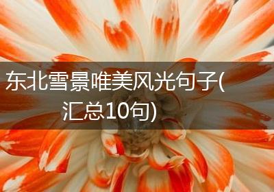东北雪景唯美风光句子(汇总10句)