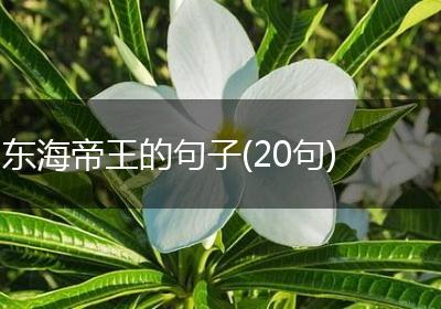 东海帝王的句子(20句)