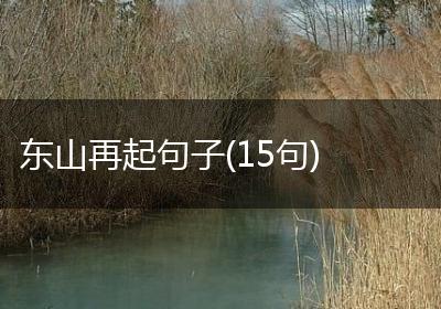 东山再起句子(15句)