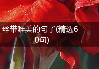 丝带唯美的句子(精选60句)