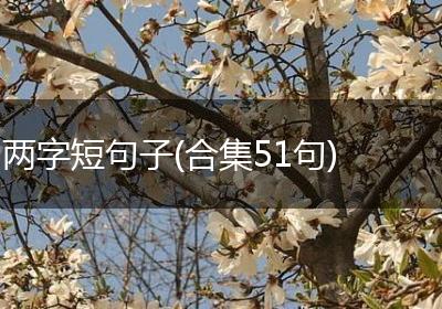 两字短句子(合集51句)