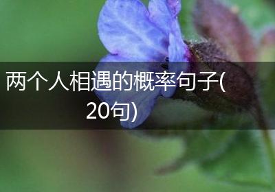 两个人相遇的概率句子(20句)