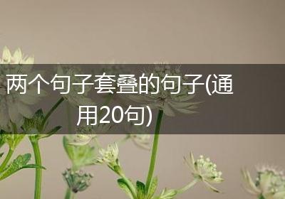 两个句子套叠的句子(通用20句)