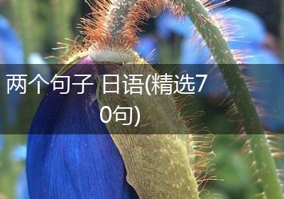 两个句子 日语(精选70句)