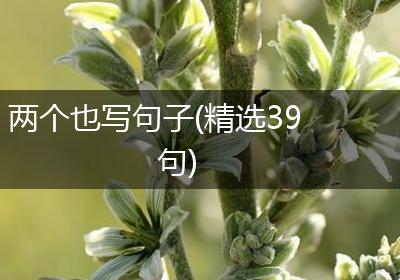 两个也写句子(精选39句)