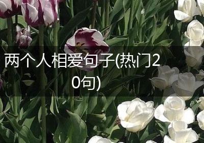 两个人相爱句子(热门20句)