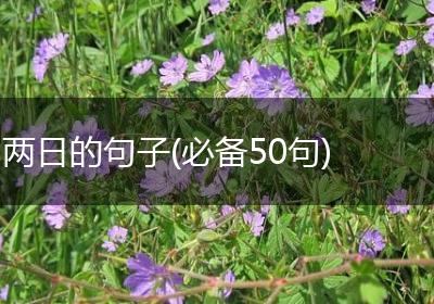 两日的句子(必备50句)
