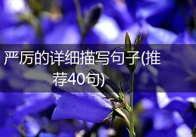 严厉的详细描写句子(推荐40句)